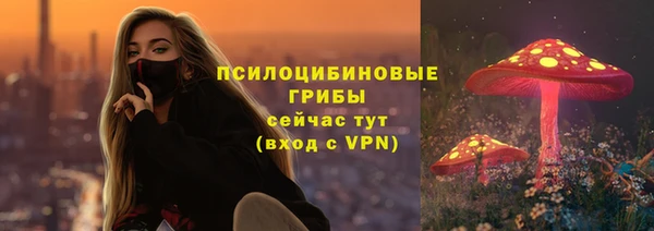 каннабис Арсеньев