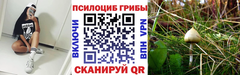 Псилоцибиновые грибы MAGIC MUSHROOMS  Самара 
